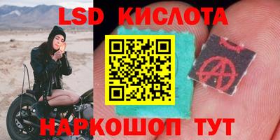 стафф Малгобек
