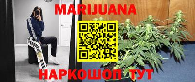прущие грибы Малоярославец