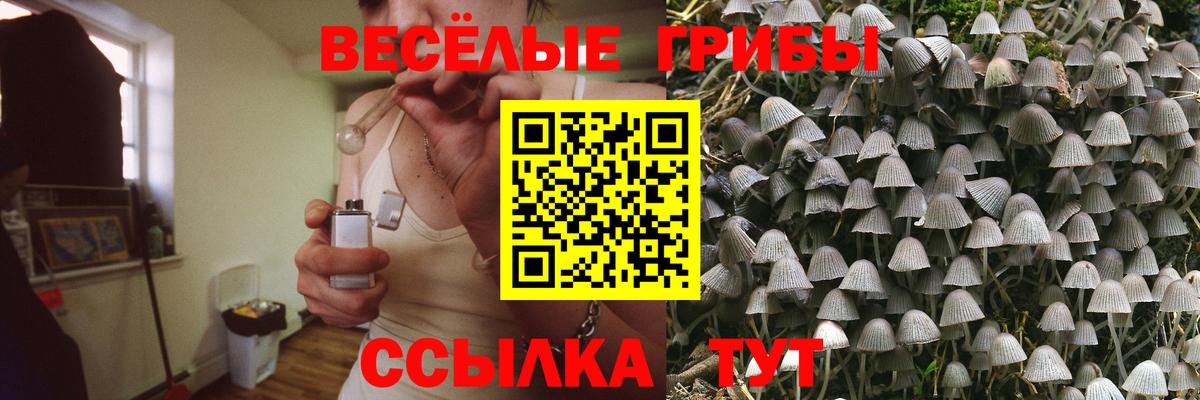 магазин    Псилоцибиновые грибы ЛСД  Вход с VPN  Галлюциногенные грибы мицелий  Тавда 