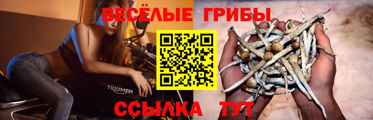 Галлюциногенные грибы мухоморы Тавда